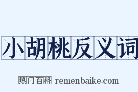 小胡桃反义词是什么意思的图片